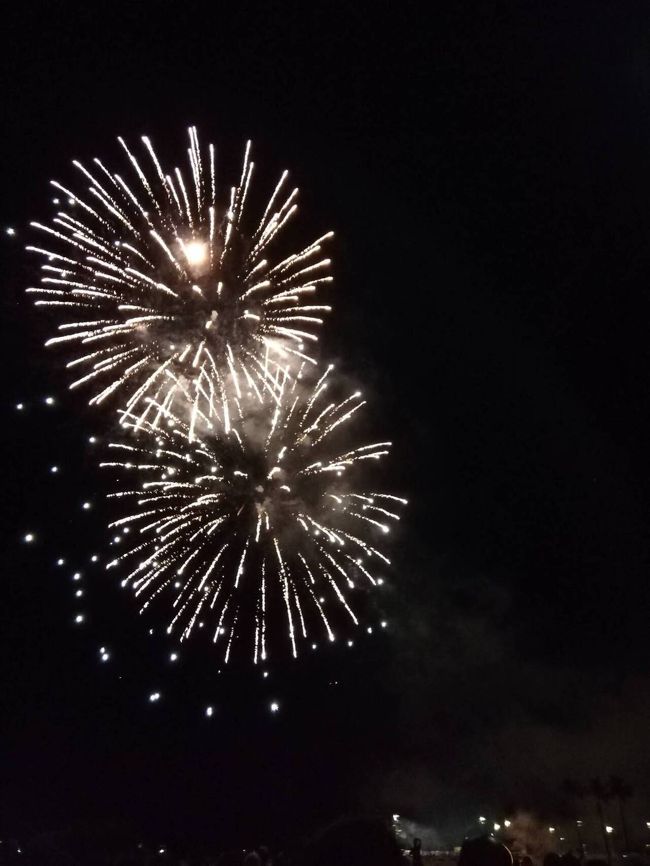 ラグーンの堤防で打ち上げているのでしょうか？<br />暗くてよくわかりません。<br />明るいうちにリサーチしておかないと。