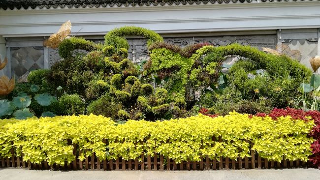 入口を入ってすぐのところです。綺麗ですね。