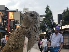 アウルの森 浅草公会堂前店