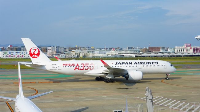 ＪＡＬ エアバスA３５０－９００搭乗目的 東京１泊２日の旅【福岡空港