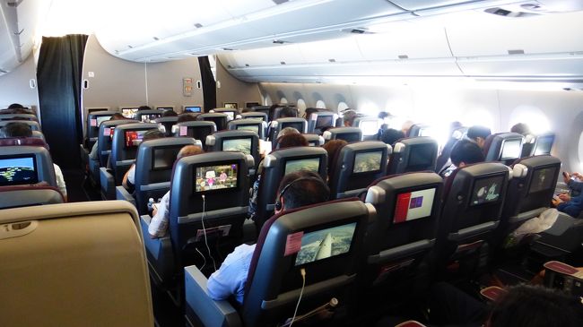JAL エアバスA350－900搭乗目的 東京1泊2日の旅