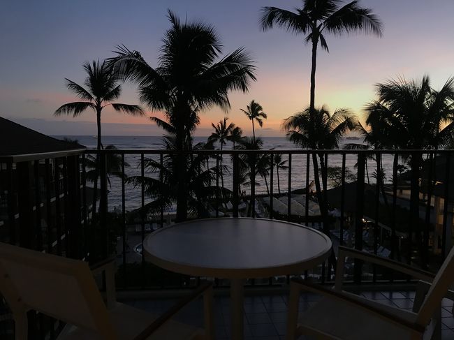 色の移り変わり、グラデーション、、本当に美しい