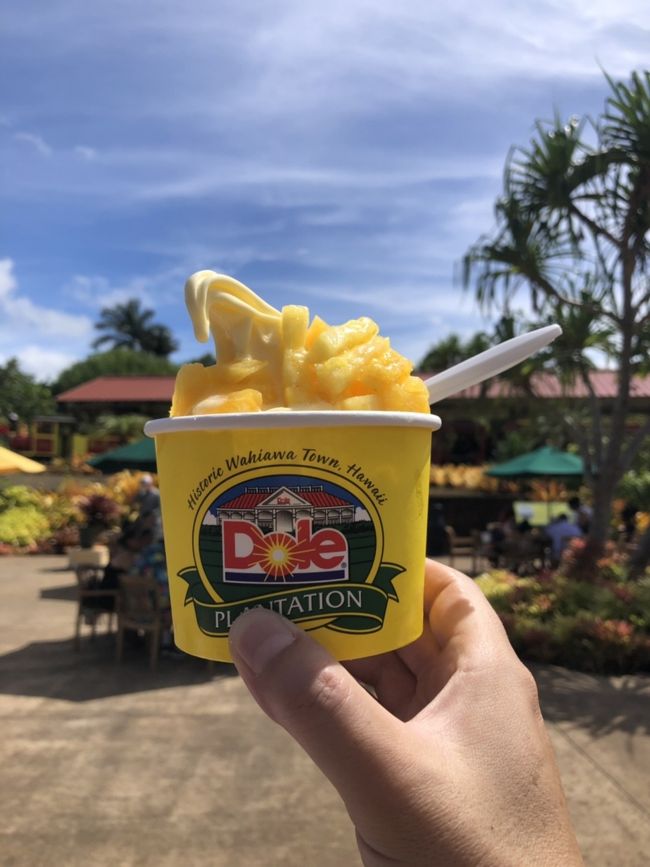 まずはドールプランテーションへ。すごく久しぶりです。パイナップルトッピングのソフトクリーム、量が多いけど美味しかったです。