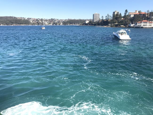 海の色はこんな感じ。風が気持ちいい！
