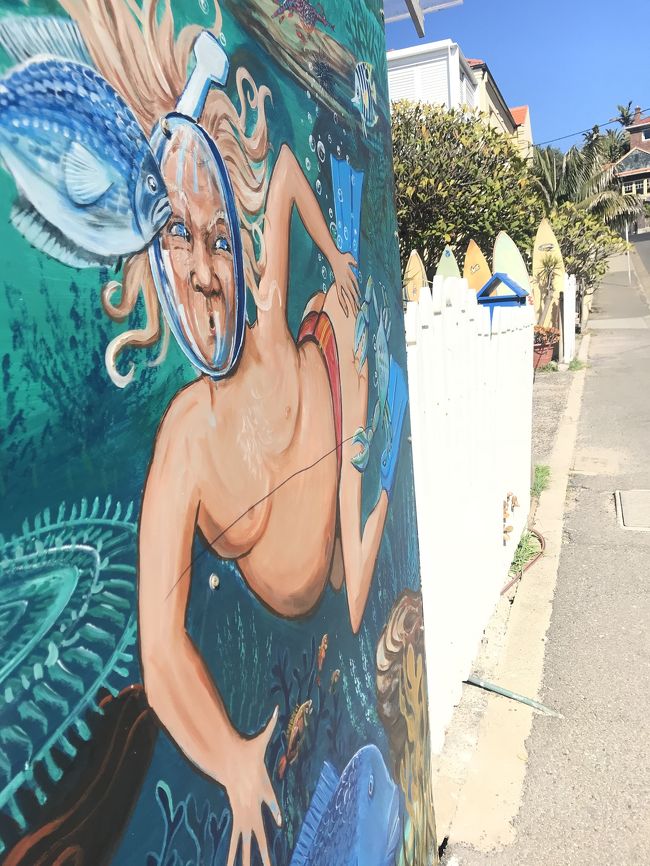 なんだこの壁は！！笑 たのしいね～