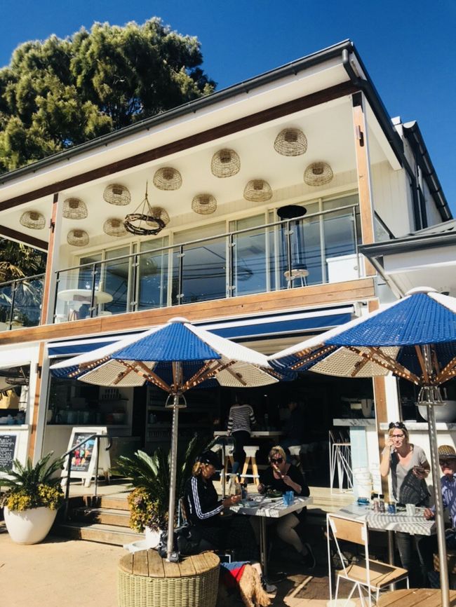 カフェらしき場所