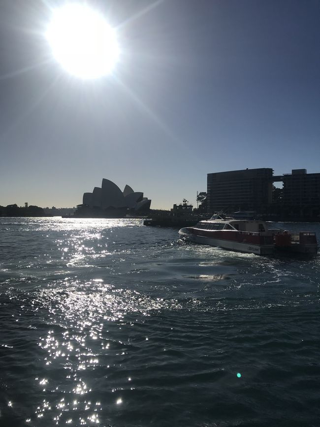 オペラハウスだ、、！