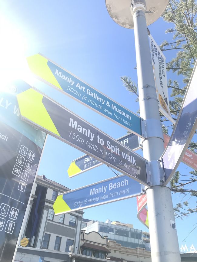 海外っぽい看板すてきだよね