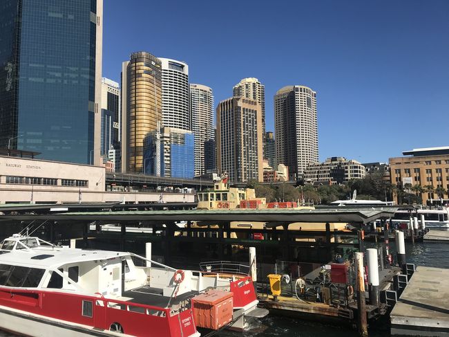 船に乗ってボンダイビーチへ！