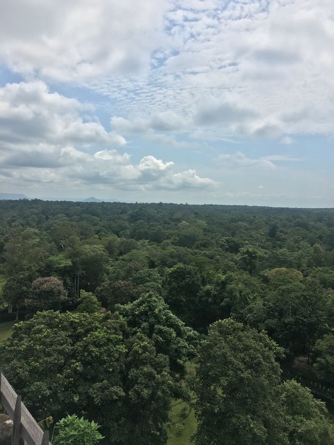 コーケー遺跡群の林が素晴らしいなんです。