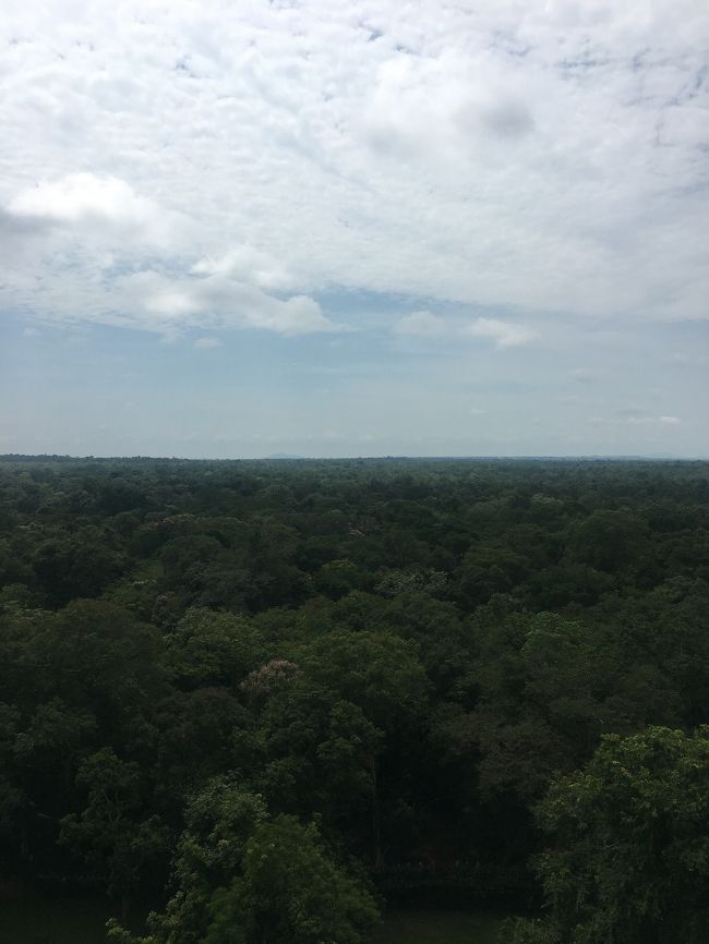 コーケー遺跡から撮りました。林が素晴らしいなんです。