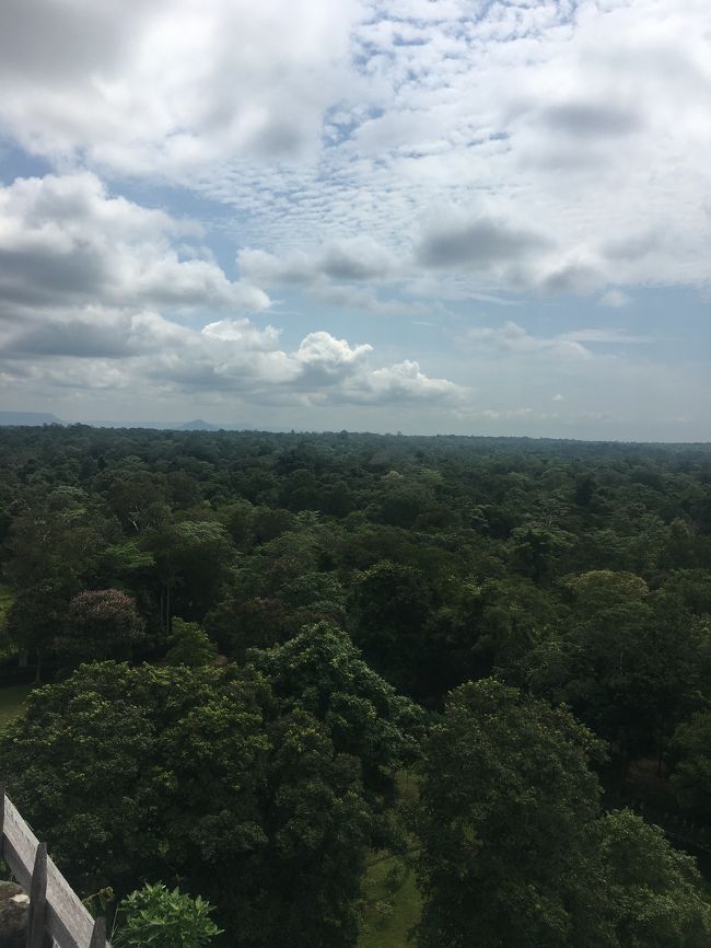 コーケー遺跡のピラミッド型寺院に登っていた。ピラミッド型寺院から撮りました。