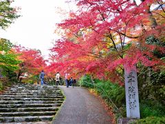 ●三千院

12日の日曜日の朝、旅館（「魚山園」：現在は閉館）で朝食を取ったのち、昨日に引き続き「大原」の寺院巡りを再開。

宿を９時過ぎにチェックアウトし、これからお昼過ぎまでゆっくり散策しようかな～というイメージでおり、まず訪れるのが大原を代表する寺院「三千院」です。