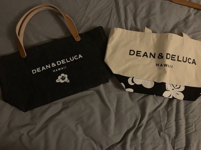 物色して、またトロリーに乗って、アパートへ。<br />こちらが母から頼まれた限定バック2点です。<br />3日目終了。