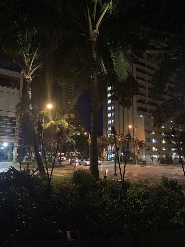 3日目、朝。<br />この日も早起きしてきました。<br />ここは？