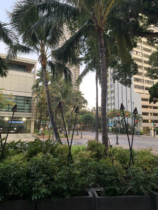 並び始めは真っ暗だったのに、開店間近にはこんなに明るくなってました。