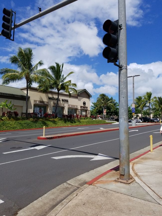 やって来ました。