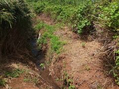 お次、タチジャミ（立神）岩に行きます。
公園駐車場は新しくて整備されていますが、だーれもいません。
気の遠くなる階段を２５０段降りていき、ほぼケモノ道を黙々と歩くのですが、五分位で道がいいかげんヤバくなってきました。（この写真）
怖くなって断念。