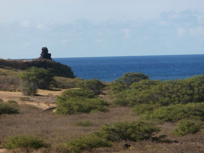 最初の目的地　マカプウトレイルに到着<br />午前8時です