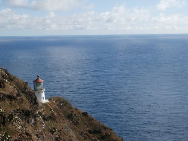 ライトハウスが見えると