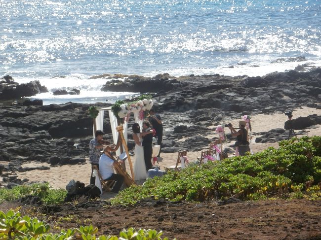 ヒーリングプールでは結婚式