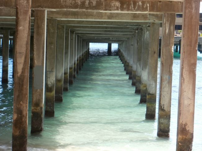 光の差し込み具合で　とても綺麗に輝きます