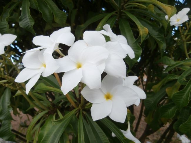 今回はさらにパワースポットを巡ります