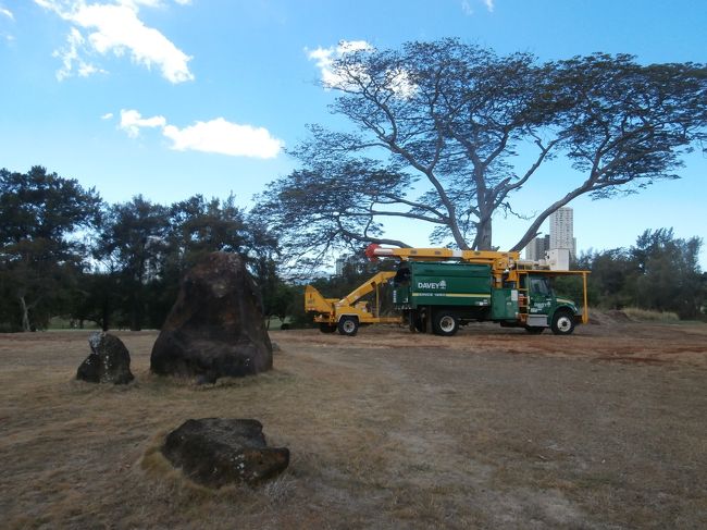 カメハメハ大王が座ったとの事です