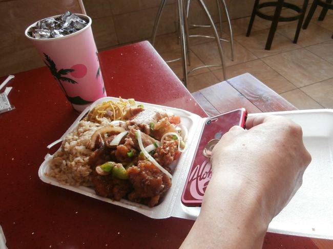 パンダエクスプレスと同じスタイルで　とても美味しく