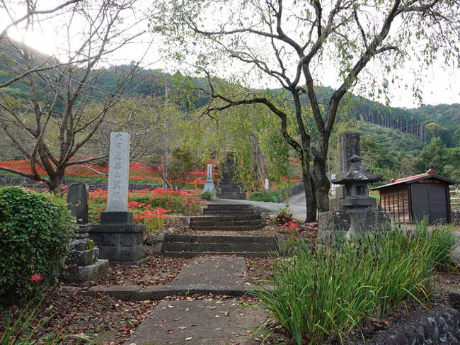 興徳寺の彼岸花 19 10 02 富士宮 静岡県 の旅行記 ブログ By てんとう虫さん フォートラベル 興徳寺の彼岸花 19 10 02 富士宮 静岡県 の旅行記 ブログ By てんとう虫さん フォートラベル