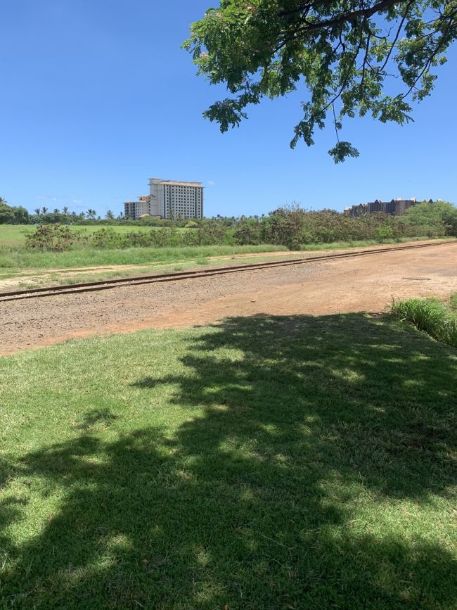 はい、さっき来た道を逆にひたすら歩きます。<br />