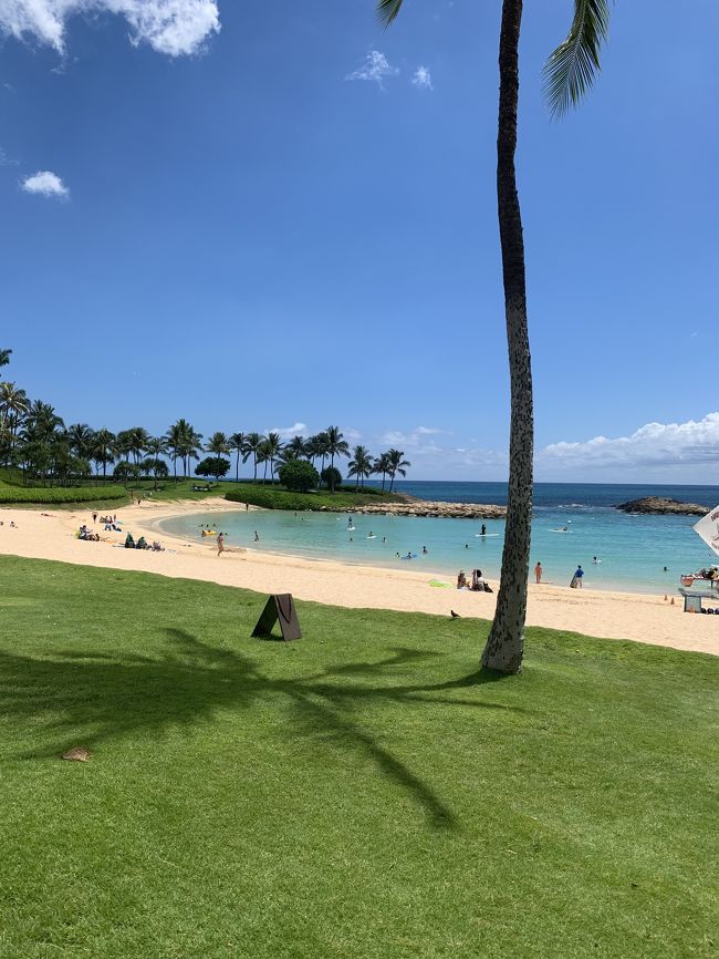 いいですね～<br />