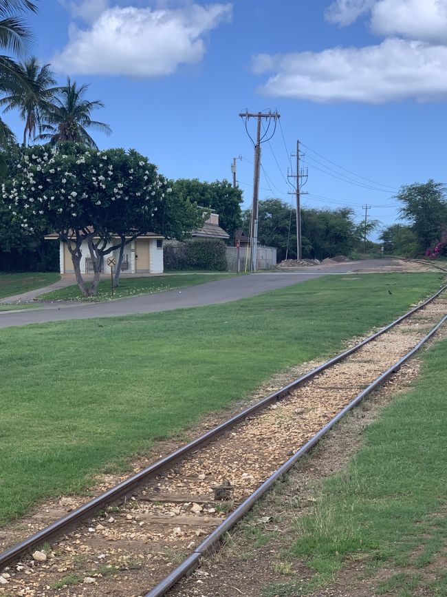ひたすら歩くと突然線路が出現。