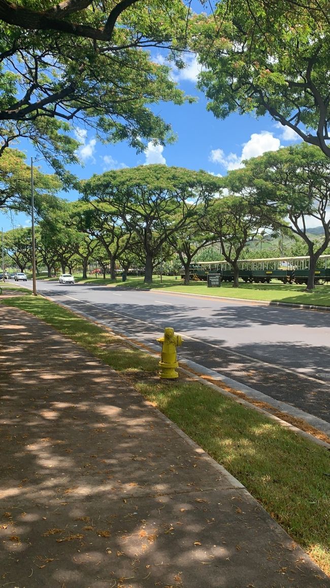 帰りは来た道を戻るだけと思ってGoogle Map見てませんでした。<br />ひたすら道なりにって思ってて、間違えて高級住宅地っぽいエリアに入ってしまいました。<br />ここで時間を15分ほどロス。