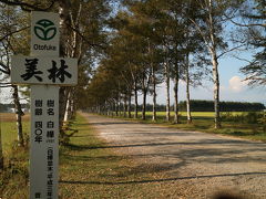 次は「マッサン」のロケ地　十勝牧場　白樺並木。