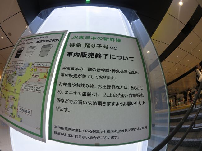 特急踊り子 スーパービュー踊り子 弾丸日帰りで乗り納め 前編 昭和の特急電車 令和に健在 185系 下田 静岡県 の旅行記 ブログ By Akrさん フォートラベル
