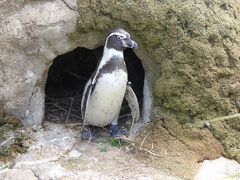 唐戸市場から歩いて、しものせき水族館 海響館へ。