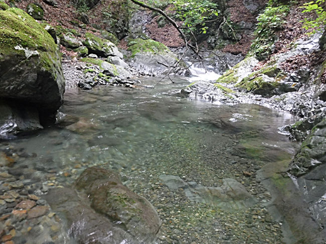 倉沢谷本谷 暑い日は適度に泳げる沢登りへ 奥多摩 東京 の旅行記 ブログ By Yama555さん フォートラベル