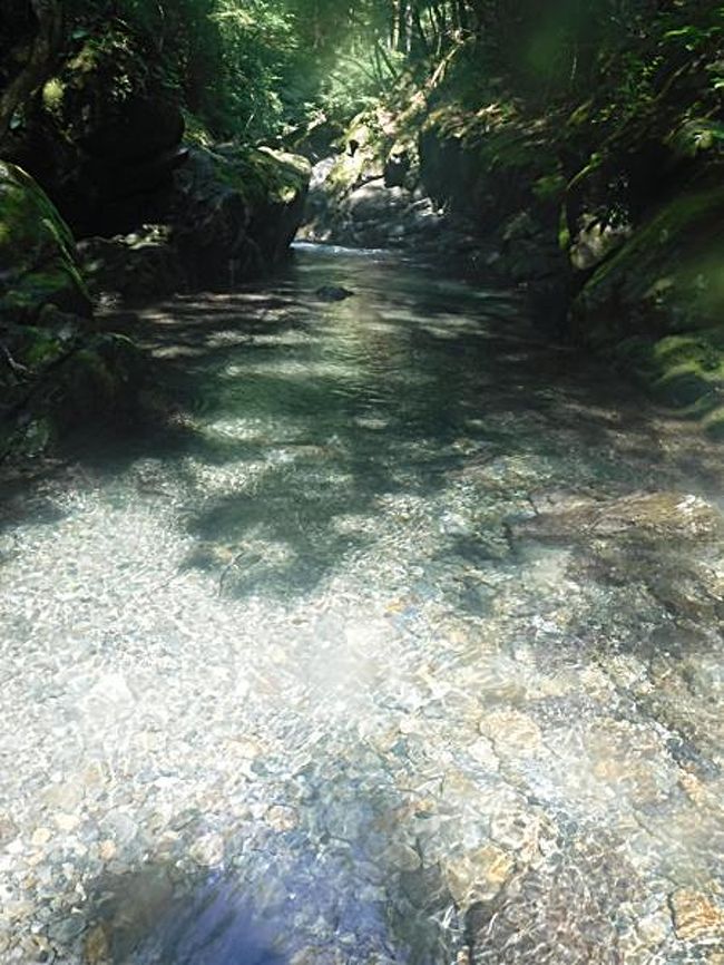 倉沢谷本谷 暑い日は適度に泳げる沢登りへ 奥多摩 東京 の旅行記 ブログ By Yama555さん フォートラベル