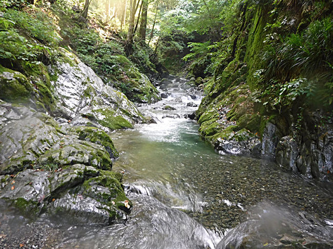 倉沢谷本谷 暑い日は適度に泳げる沢登りへ 奥多摩 東京 の旅行記 ブログ By Yama555さん フォートラベル