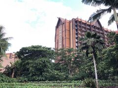 come back home 5年ぶりのホームへ