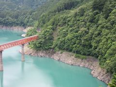 奥大井湖上駅は長島ダムによって形成された接岨湖にある駅
この辺りも接阻湖が出来るまでは大井川に沿って線路が走っていました

偶然かはたまた必然か、接岨湖の満水位の辺り（丁度木が切れる辺り）が旧井川線の線路跡です