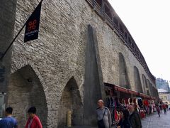 城壁に囲まれた旧市街ということで、町の中に城壁があり、3ユーロくらいで登ることができます