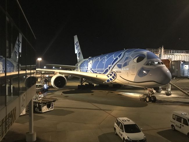 これがホノルル便のみで就航してるA380