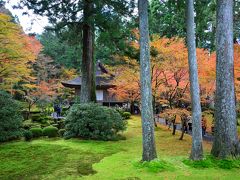 苔庭から高くそびえる杉木立の先に、阿弥陀三尊をお祀りする「往生極楽院」が建っています。
ここからの絵はよく見かける有名な構図ですよね。

なお、宸殿に安置されている伝教大師作と伝わる御本尊の薬師瑠璃光如来は、秘仏となっています。