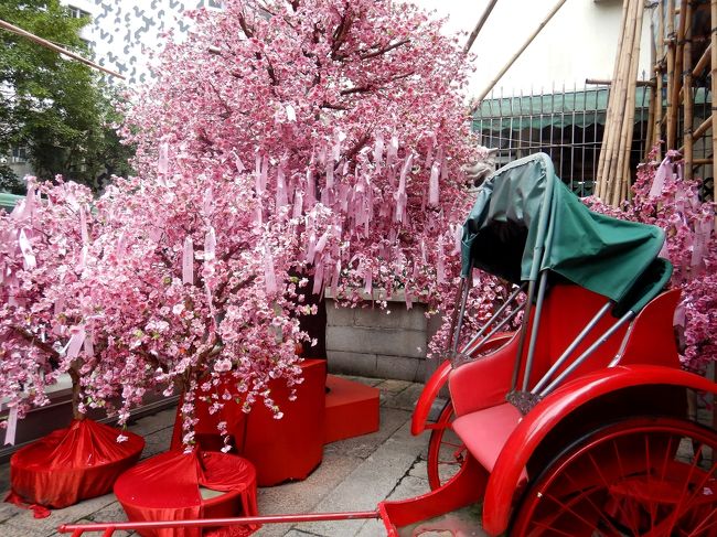 境内にはインスタを意識したスポットも。