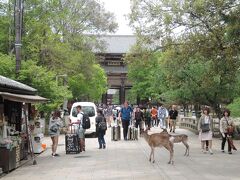 　東大寺の南大門に到着しました。
　小腹が空いたので、露店で団子を買って食べました。