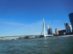 14:03発の水上バスで戻る。船から見たロッテルダム港に架かるエラスムス橋。ロッテルダムを代表する斜張橋で、建設：1996年；地上高：139 m；全長：802 m。