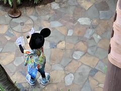 毎朝 朝1ミッキーが見られる幸せ