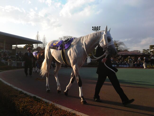 tckお客様感謝デー2019 今年も楽しみました 大森 大井町 東京 の旅行記 ブログ By 真昼あんどん行さん フォートラベル tckお客様感謝デー2019 今年も楽しみました 大森 大井町 東京 の旅行記 ブログ By 真昼あんどん行さん フォートラベル
